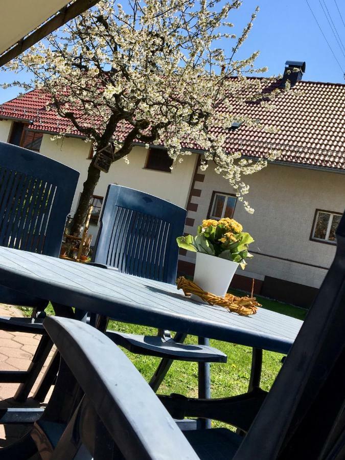 Ferienwohnung Wippenreute Ravensbourg Extérieur photo